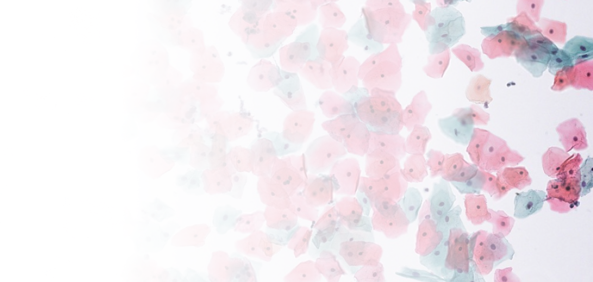 standard cell background image