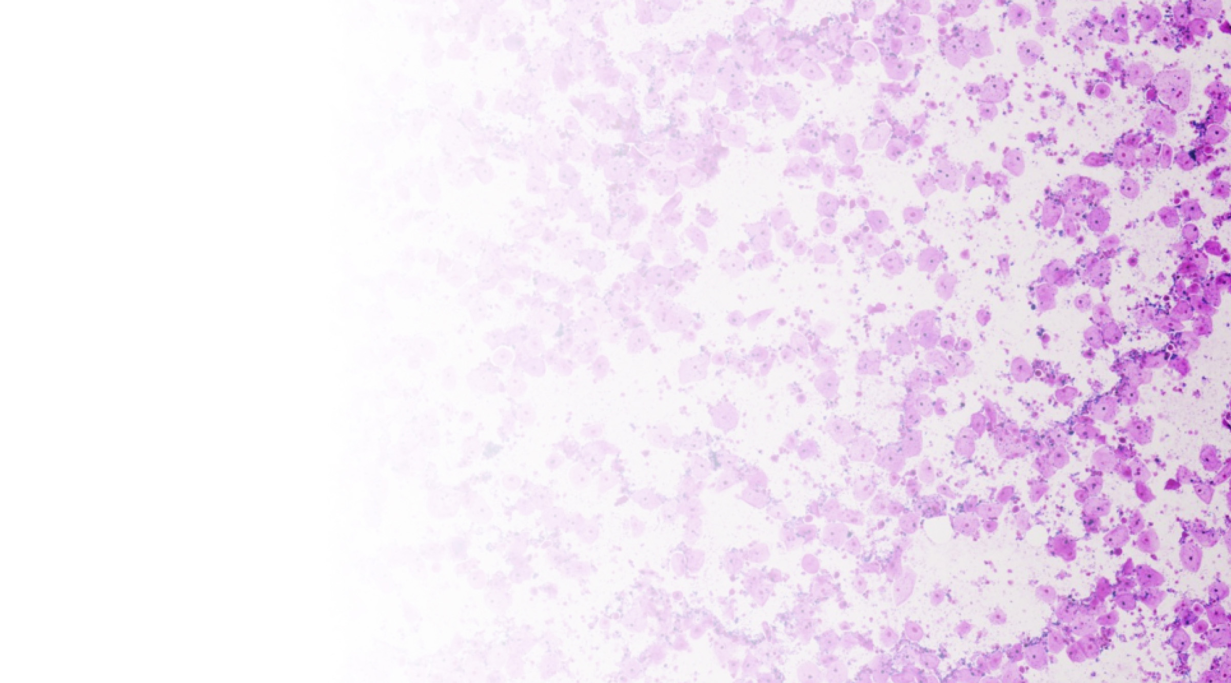 Bacteriology cell image