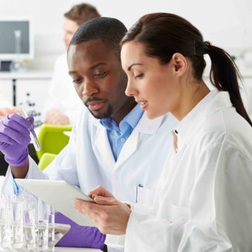 Group Of Technicians Working In Laboratory