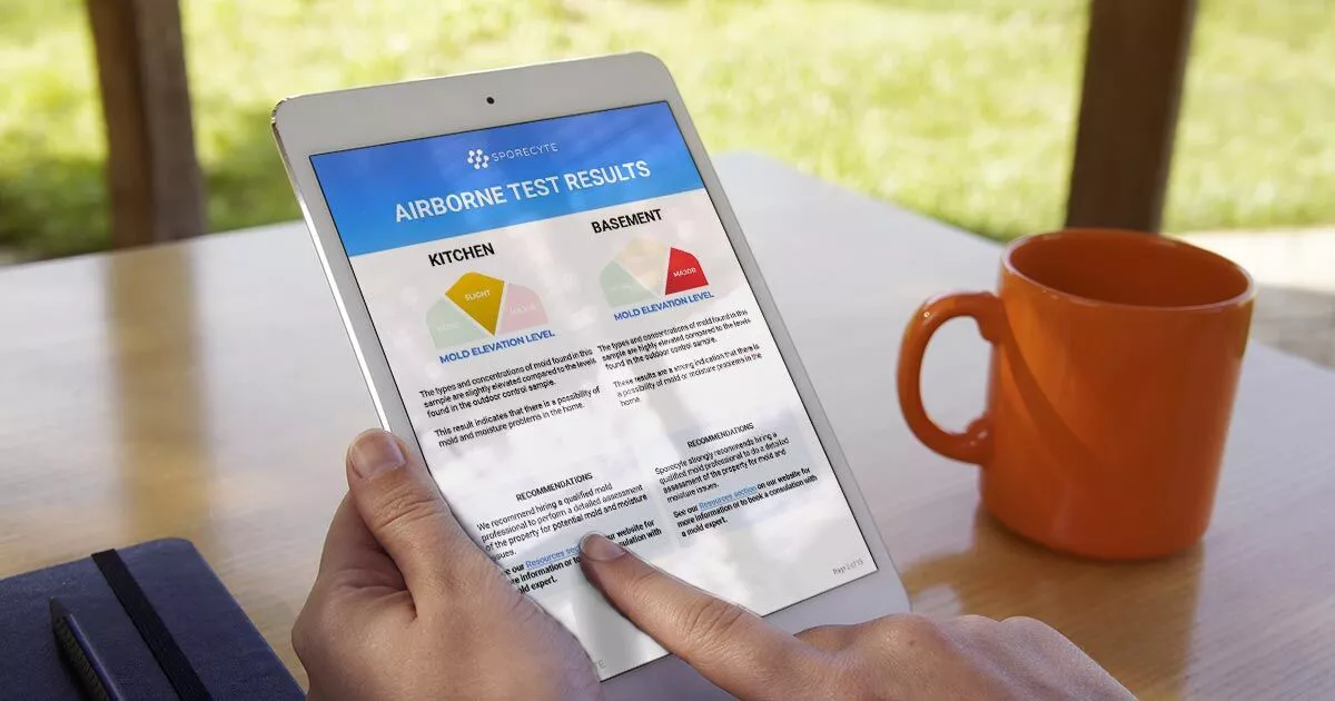 Person Holding Sporecyte Report, the AI-Powered Mold and Air Quality Testing Available to Home Inspectors and Laboratories