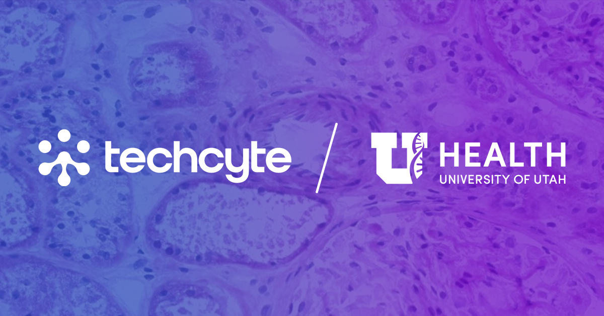 New Study by The University of Utah and Techcyte Demonstrates the Value of AI in Organ Transplantation