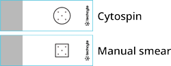 DMR cytospinmanualsmear slides
