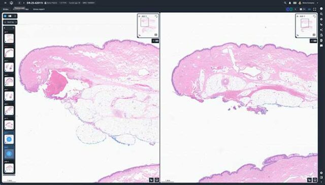 website Fusion page Co registration